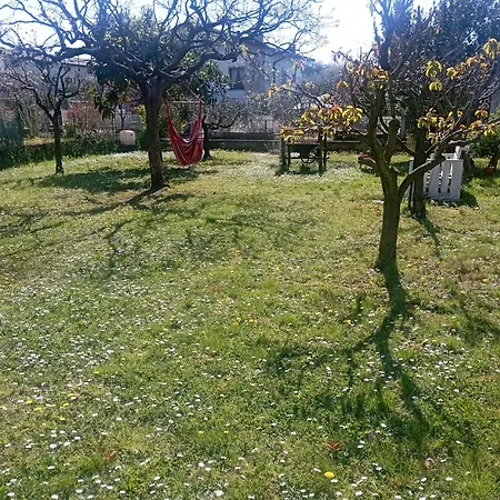 San Francesco 3*