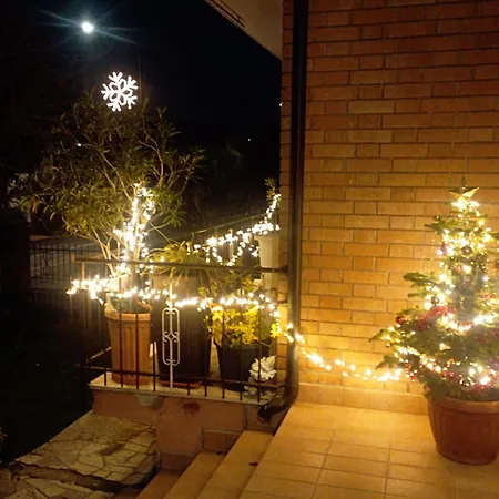 San Francesco 3*